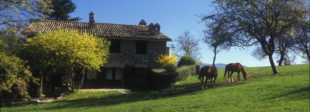 Hotel Le Silve di Armenzano Assisi Esterno foto